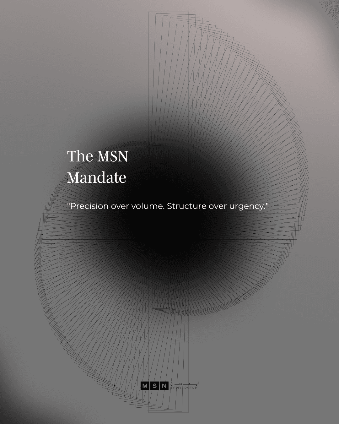 MSN Social Media Campaign 2